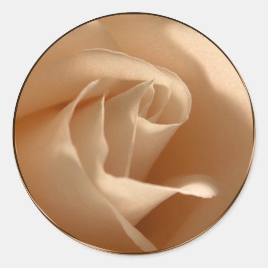 Creme Rose Hochzeit Umschlag Aufkleber (Vorderseite)