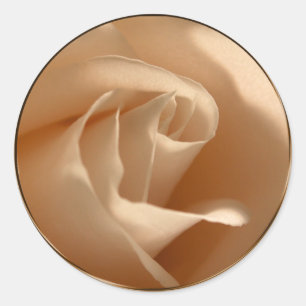 Creme Rose Hochzeit Umschlag Aufkleber