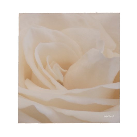 Creme-Rose Notizblock (Vorderseite)