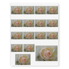 CREME ROSE WEDDING COLLECTION