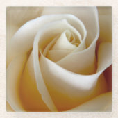 Creme Rose Wedding Foto Glasuntersetzer (Vorderseite)
