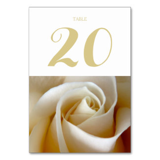 Creme Rose Wedding Foto Gold Tischnummer
