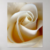 Creme Rose Wedding Foto Poster (Vorne)