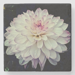 Creme und rosa Blume Steinuntersetzer
