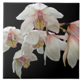 Creme und rosa Orchideen auf schwarz Fliese (Vorderseite)