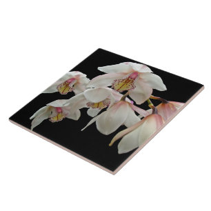 Creme und rosa Orchideen auf schwarz Fliese