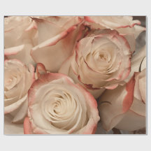 Creme- und roter Rosen-Mattverpackungspapier