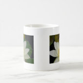 Creme Water Lily02.JPG Kaffeetasse (Mittel)