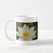 Creme Water Lily02.JPG Kaffeetasse (Links)