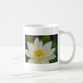 Creme Water Lily02.JPG Kaffeetasse