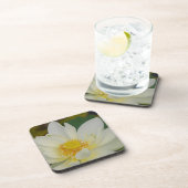 Creme Water Lily02.JPG Untersetzer (Rechte Seite)