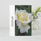Creme White Rose Geburtstagskarte (Stehend Vorderseite)
