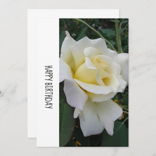 Creme White Rose Geburtstagskarte (Vorne/Hinten)