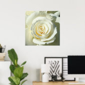 Creme White Rose - Poster (Heimbüro)