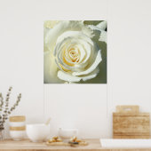 Creme White Rose - Poster (Küche)