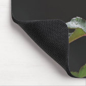 Cremefarbene Rose auf dunklem Hintergrund Mousepad (Ecke)