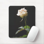 Cremefarbene Rose auf dunklem Hintergrund Mousepad (Mit Mouse)