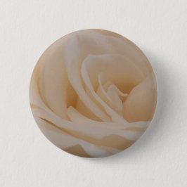 Cremefarbene Rose schließen Button