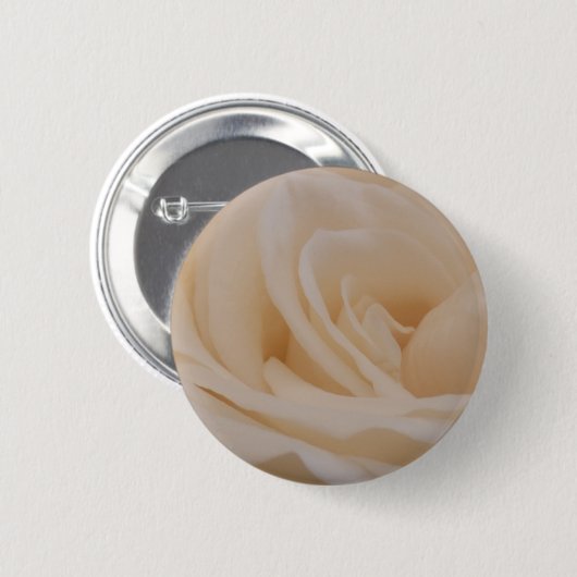 Cremefarbene Rose schließen Button (Vorne & Hinten)