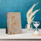 Cremefarbene Rose schließen Fotoplatte (Seite)