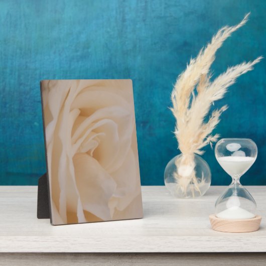 Cremefarbene Rose schließen Fotoplatte (Seite)