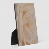 Cremefarbene Rose schließen Fotoplatte (Seite)