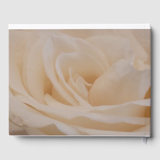 Cremefarbene Rose schließen Gästebuch (Rückseite)