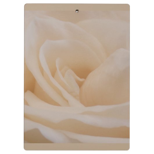 Cremefarbene Rose schließen Klemmbrett (Rückseite)