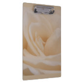 Cremefarbene Rose schließen Klemmbrett (Rechts)