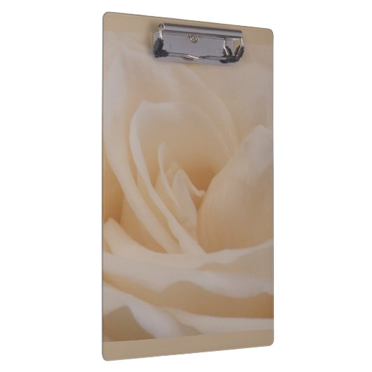 Cremefarbene Rose schließen Klemmbrett (Rechts)