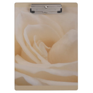 Cremefarbene Rose schließen Klemmbrett