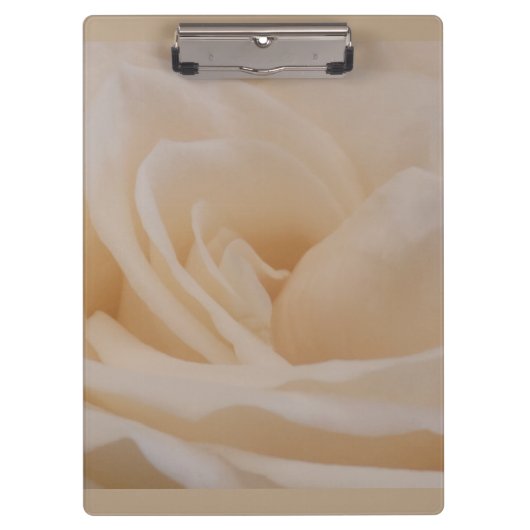 Cremefarbene Rose schließen Klemmbrett (Vorderseite)
