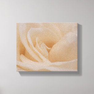 Cremefarbene Rose schließen Leinwanddruck