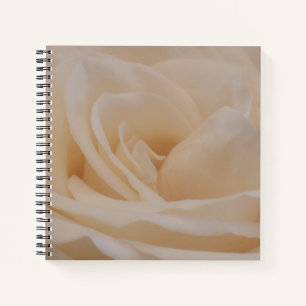 Cremefarbene Rose schließen Notizblock