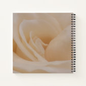 Cremefarbene Rose schließen Notizblock (Rückseite)