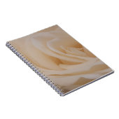 Cremefarbene Rose schließen Notizblock (Rechte Seite)