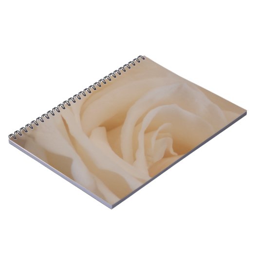 Cremefarbene Rose schließen Notizblock (Linke Seite)