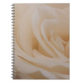 Cremefarbene Rose schließen Notizblock (Vorderseite)