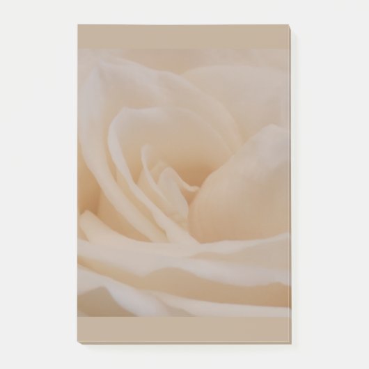 Cremefarbene Rose schließen Post-it Klebezettel (Vorderseite)