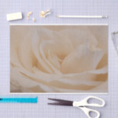 Cremefarbene Rose schließen Seidenpapier (Handwerk)