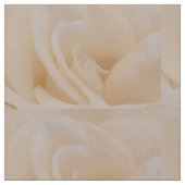 Cremefarbene Rose schließen Stoff (Nahaufnahme)