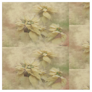 Cremefarbene Weihnachtssterne Digitale Kunst Stoff