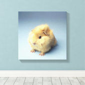 Cremefarbenes Guinea Leinwanddruck (Insitu (Holzboden))