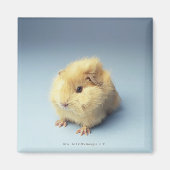 Cremefarbenes Guinea Magnet (Vorne)