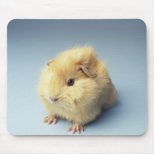 Cremefarbenes Guinea Mousepad (Vorne)