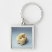 Cremefarbenes Meerschweinchen Schlüsselanhänger (Vorne)