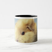 Cremefarbenes Meerschweinchen Zweifarbige Tasse (Mittel)