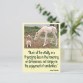 Cremello Companions Freundschaft Postkarte (Stehend Vorderseite)