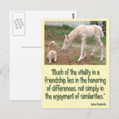 Cremello Companions Freundschaft Postkarte (Vorne/Hinten)