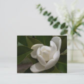 Cremeweiße Magnolia-Blume Postkarte (Stehend Vorderseite)